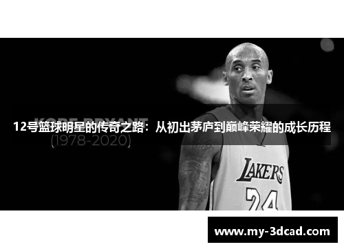 12号篮球明星的传奇之路：从初出茅庐到巅峰荣耀的成长历程