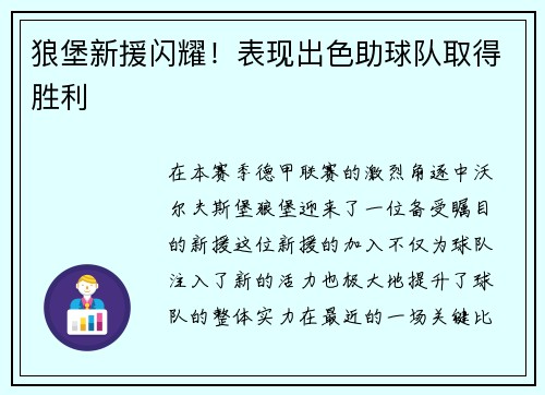 狼堡新援闪耀！表现出色助球队取得胜利